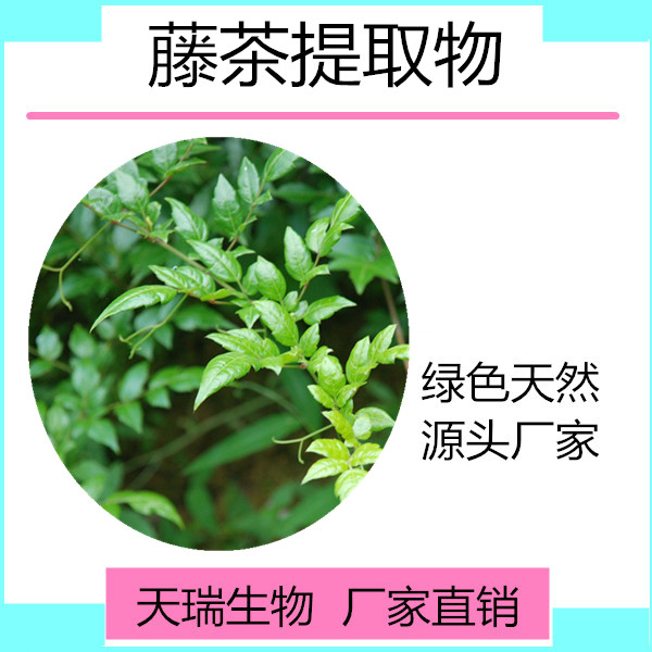 藤茶_副本