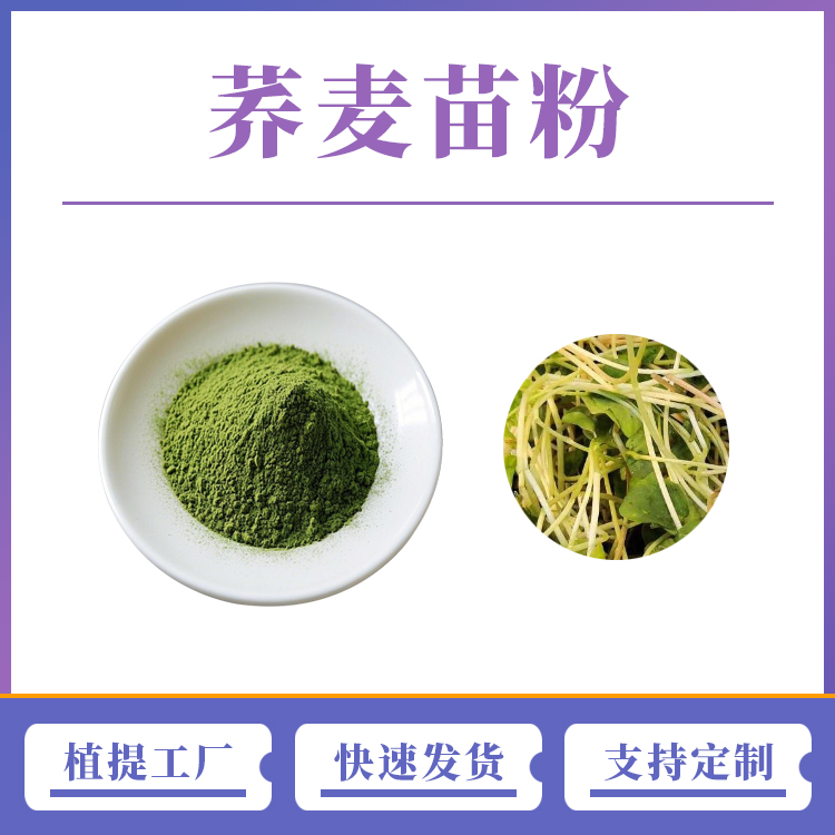 蕎麥苗-9