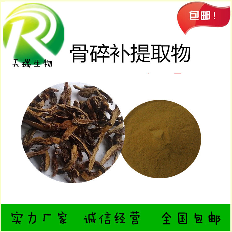 骨碎補_副本