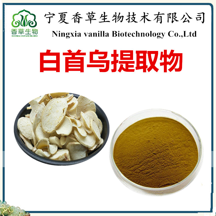 白首烏  
