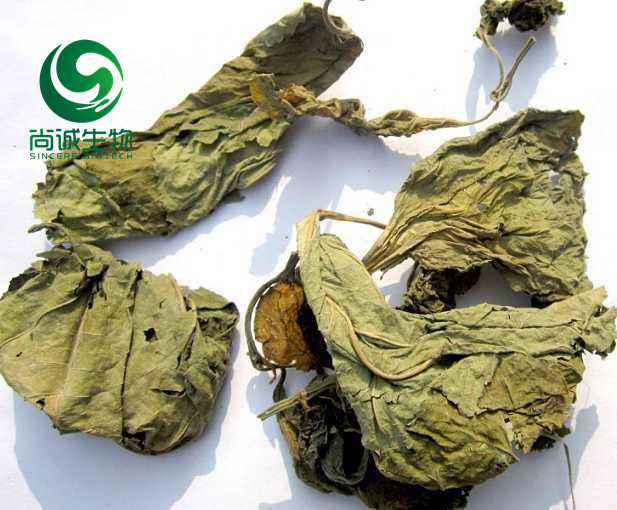 桑葉提取物 重德尚誠，知行合一 西安尚誠生物科技有限公司1